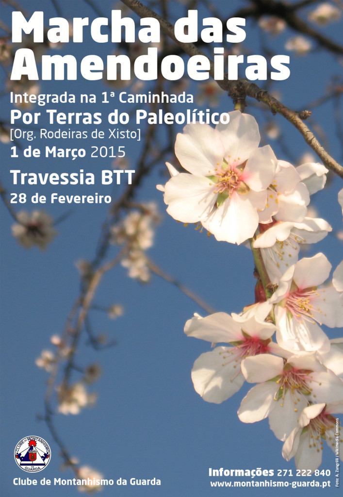 Amendoeiras_CMG_2015