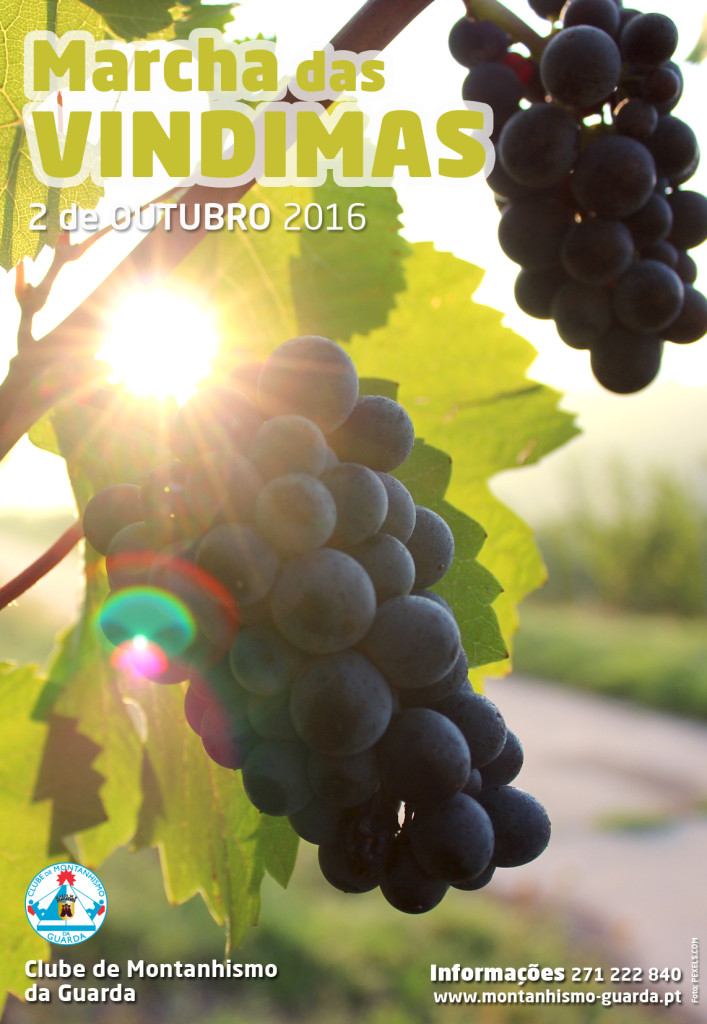 marchavindimas_outubro2016_cmg