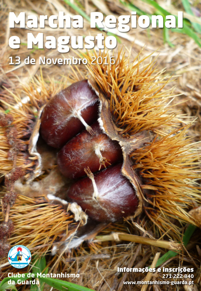 cmg_marcharegionalmagusto_2016